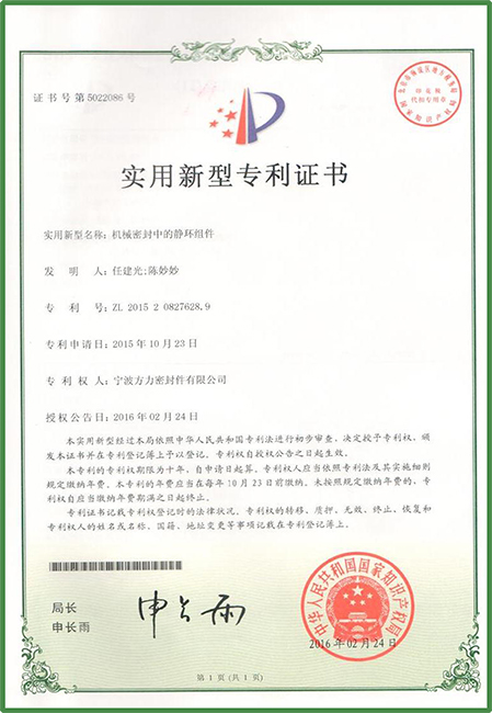 New patent certificate 07