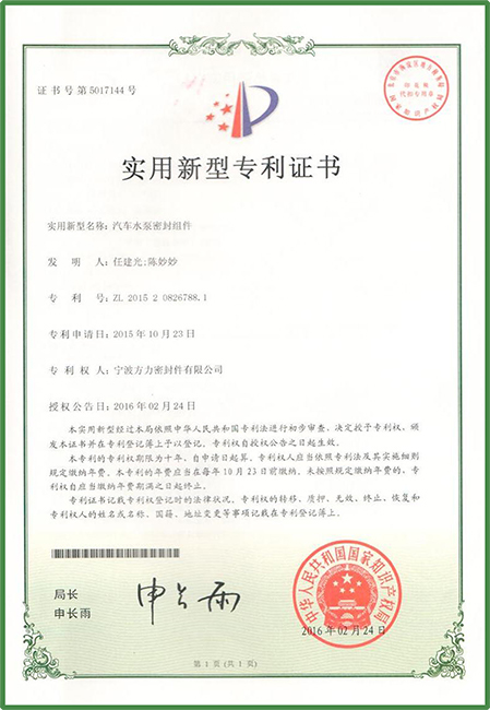 New patent certificate 11